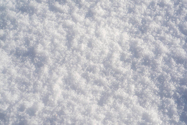 Snow background, winter texture, snowy surface of fluffy snow.
