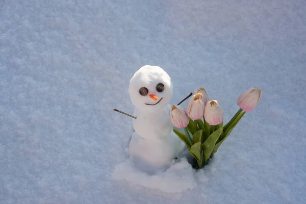 Muñeco de nieve con flores de primavera tulipanes. Hombre de nieve divertido en un prado cubierto de nieve sobre un fondo de nieve. —  Fotos de Stock