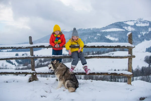 Χειμερινά παιδιά κορίτσι και αγόρι husky σκυλί απολαμβάνοντας το χειμώνα. Τα παιδιά παίζουν έξω στο χιόνι. Εξωτερική διασκέδαση για τα παιδιά διακοπές Χριστουγέννων. Παιδικές χειμερινές διακοπές στην ύπαιθρο. — Φωτογραφία Αρχείου
