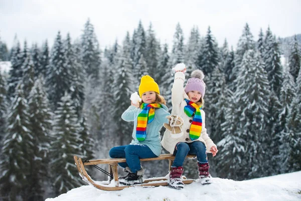 Kids play snowball, snow ball fight for children. Winter knitted kids clothes. Cold weather. Happy little kids wearing knitted hat, scarf and sweater. — Stock Photo, Image