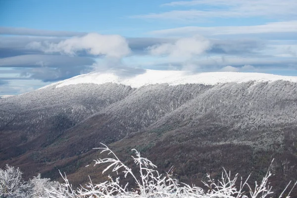 Winter met overdekte vorstbomen in de sneeuw drijft. Magisch winterbos. Winterlandschap met besneeuwde achtergrond. — Stockfoto