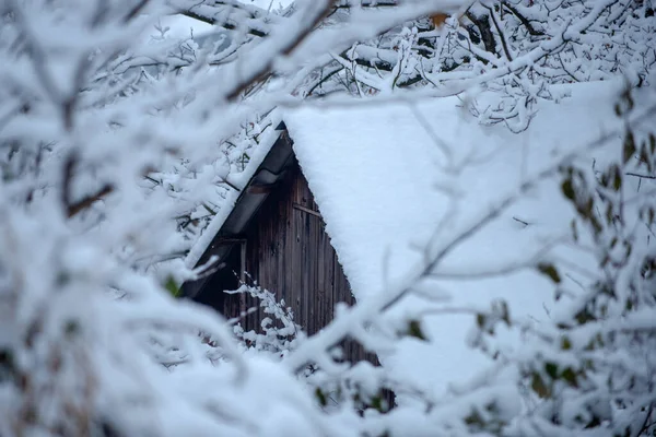 Sněhová bouřka. Dřevěný dům v zimním sněhovém lese. Dřevěný dům ve sněžném pohádkovém lese. — Stock fotografie