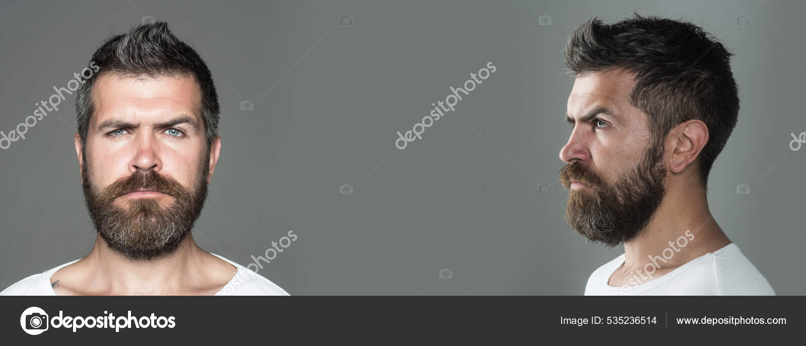 Bearded man with classic long beard. Barber, barbershop. Mustache men, face  and profile, isolated on gray. Templates web banner design. Banner for hair  salon. Stock Photo by © 535236514