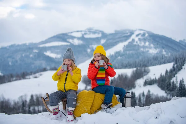 冬の雪の森の中で楽しくそりに乗っている幸せな子供たちは、冬の季節をお楽しみください。冬のクリスマス休暇と活発な冬の週末、子供の活動. — ストック写真