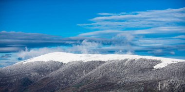 Soğuk ve karlı kış dağları. Kar, kış manzarasında dağlardaki ağaçları kapladı. Kış ormanı geçmişi.