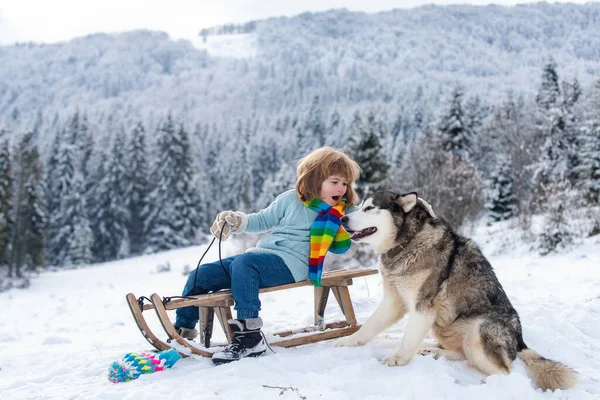 Garçon avec chien profiter d'une promenade en traîneau. Du traîneau pour enfants, sur un traîneau. Les enfants jouent dans la neige en hiver. Enfants en plein air amusant pour les vacances de Noël. — Photo