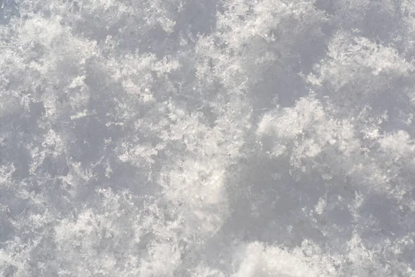 白いトーンの新雪の質感の背景. — ストック写真