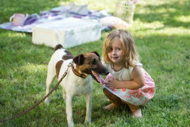 Russell Terrier köpeğiyle yeşil çimlerin üzerinde oynayan küçük bebek. Çocuklar oynuyor. Bebek ve yaz güneşli hava.