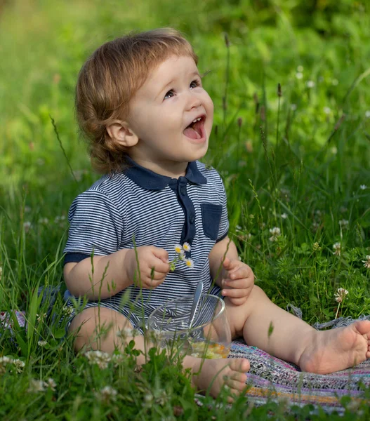 Criança na grama no fieald no verão. Bonito garoto animado sentado ao ar livre. — Fotografia de Stock