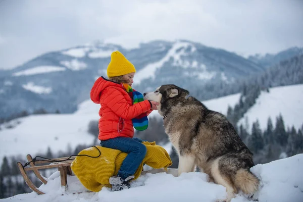 Chlapec si užívá jízdu na saních. Dítě si hraje venku ve sněhu s husky dog. Děti objímají něžného chraptivého psa. Zvířecí láska. — Stock fotografie