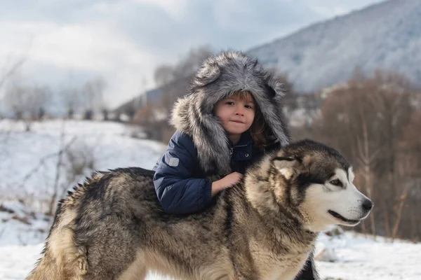 Winter childhood. Child embraced husky dog. Adorable little boy child with husky dog having fun on winter day. — Stock Photo, Image