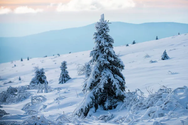 Naturaleza de invierno para el diseño. Invierno con helados cubiertos en las corrientes de nieve. Bosque de invierno mágico. Paisaje natural con hermoso cielo. —  Fotos de Stock