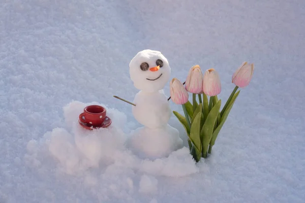 Sneeuwman met kopje koffie en lente bloemen tulpen. Sneeuwman geïsoleerd op sneeuw achtergrond. — Stockfoto
