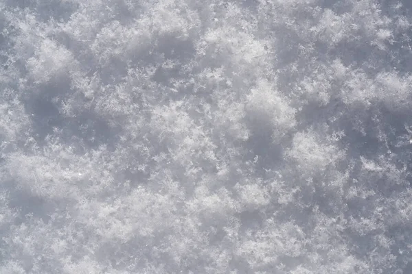 雪の背景。雪のテクスチャ、雪のトップビュー。デザインのためのテクスチャ冬. — ストック写真