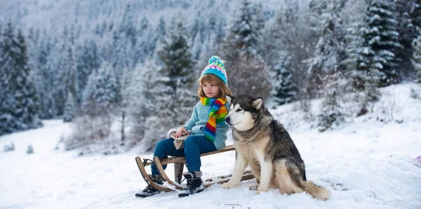 Vtipálek se v zimě baví se saněmi. Roztomilé děti si hrají se psem husky ve sněhu na zasněžené krajině přírody. Zimní aktivity pro děti. — Stock fotografie