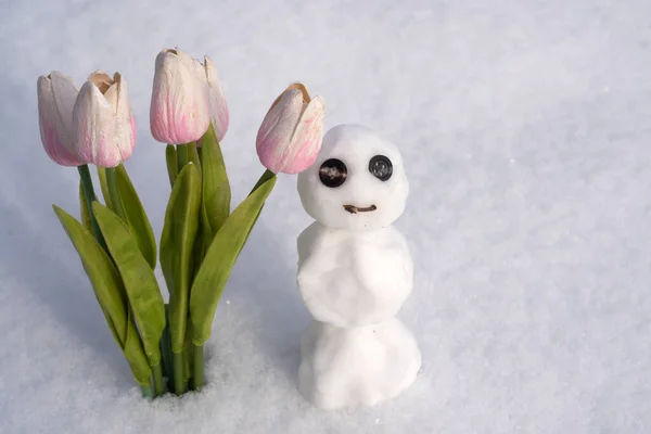 Sneeuwpop met lentebloemen tulpen. Gelukkige glimlachende sneeuwman op zonnige winterdag. — Stockfoto