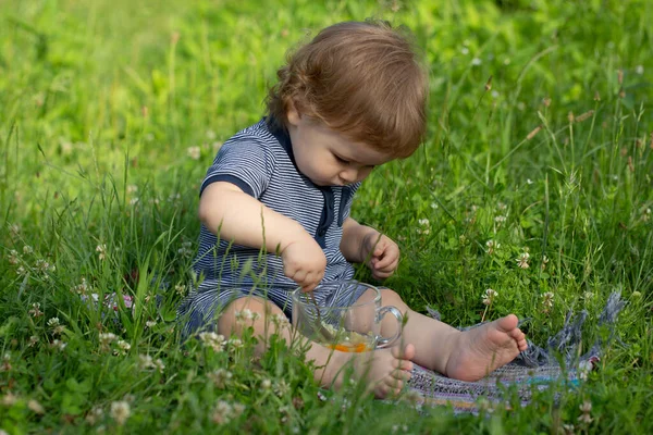 Παιδί μωρό παίζει σε ηλιόλουστο πεδίο, καλοκαίρι υπαίθρια παιδιά τρόπο ζωής. Παιδική εξερεύνηση της φύσης. — Φωτογραφία Αρχείου
