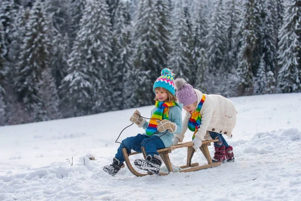 Rapaz e rapariga a andar de trenó numa floresta nevada. Crianças de inverno ao ar livre diversão para o Natal e Ano Novo. Crianças desfrutando de um passeio de trenó. Montanhas frias e nevadas de inverno. — Fotografia de Stock