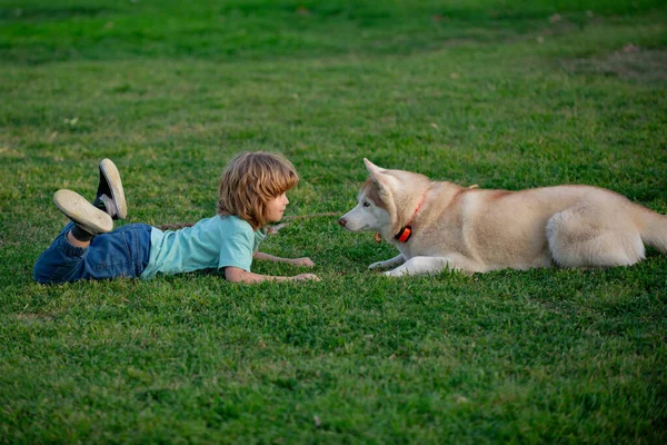 Criança feliz e cachorro na grama. Menino bonito criança com cão relaxante no parque. Jogos divertidos com animal de estimação em férias de verão. Husky cão e criança olhando uns aos outros. — Fotografia de Stock