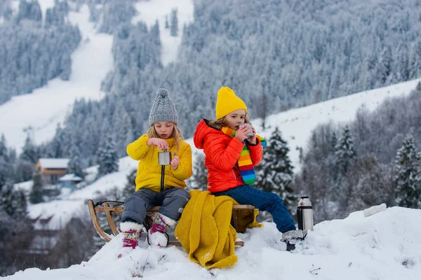 Oğlan ve kız, karlı bir ormanda kızak kayıyorlar. Açık hava kış çocukları Noel ve yeni yıl için eğlencelidir. Çocuklar kızakla gezintiye çıkıyor.. — Stok fotoğraf
