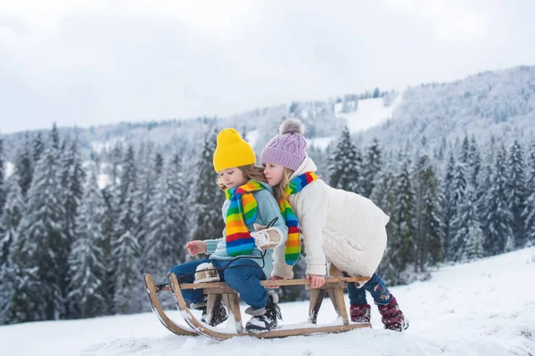 面白い男の子と女の子は冬にそりで楽しんでいます。雪の中で遊んでいるかわいい子供たち。子供のための冬の活動。クリスマスの風景. — ストック写真