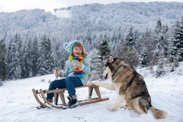 Garçon avec chien glissant avec traîneau dans la neige d'hiver. Vacances d'enfants de Noël et bonne année. — Photo