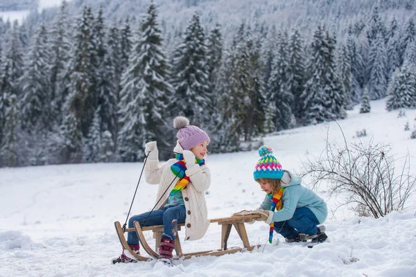 Crianças a andar de trenó. Crianças filho e filha brincam na neve no inverno. Crianças ao ar livre diversão para férias em família de Natal. Montanhas frias e nevadas de inverno. — Fotografia de Stock