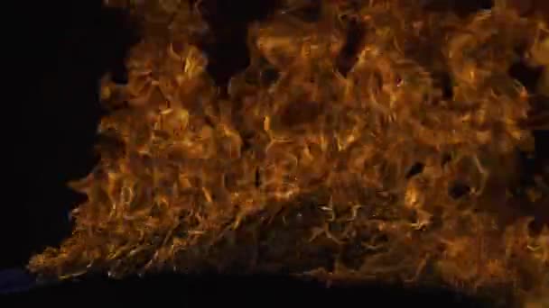 Fire flame isolate on black background. Burn abstract flames. Burning big flame. — Video Stock