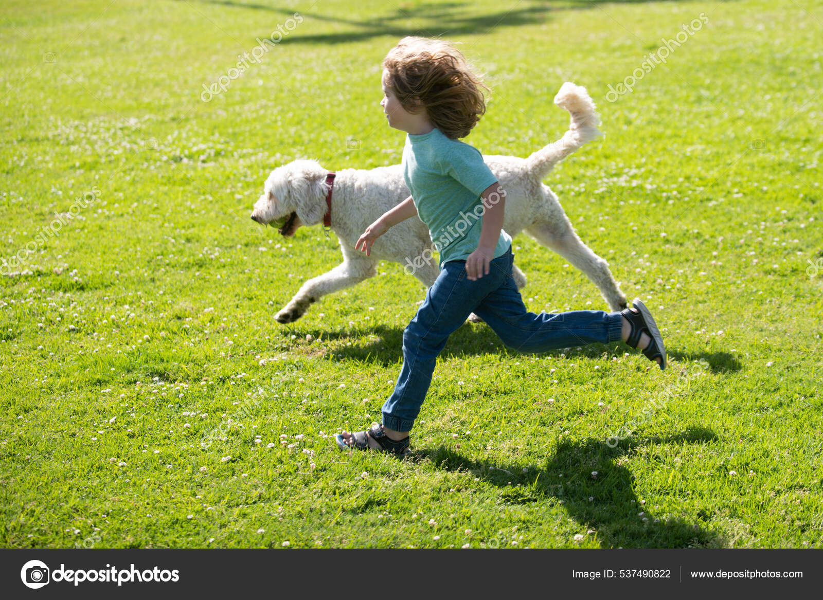 Child runnin with a dog in Kid with a puppy dog outdoor
