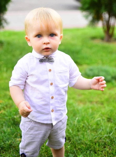 Child baby playing on sunny field, summer outdoor kids lifestyle. Baby walking in park. — Stockfoto