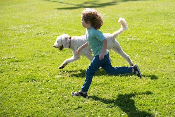 Child runnin with a dog in park. Kid with a puppy dog outdoor playing at backyard lawn. — Foto Stock