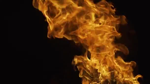 Zářící plamen. Palte na černém pozadí. Abstraktní požární plamen pozadí, velký hořící oheň. — Stock video