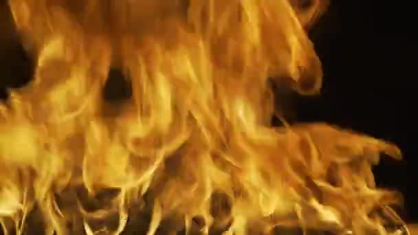 Fire. Abstract background of fire and flames. Burning big flame. Explosion fire effect. — Stockvideo