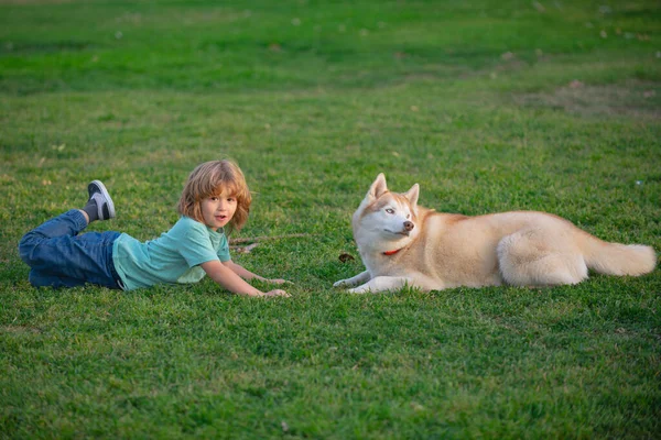 Criança menino brinca com um cão na grama ao ar livre. — Fotografia de Stock