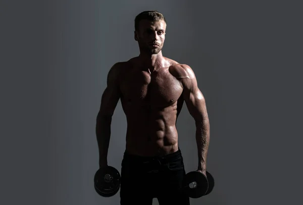 Torse sportif sexy, homme aux haltères. Portrait d'homme athlétique avec haltères. Homme torse nu avec muscles torse en studio. — Photo