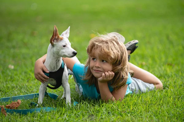 Gelukkige kind en hond knuffels, liggend op achtertuin gazon. Schattig jongetje met hond ontspannend op park. Puppies en kind in het gras buiten. — Stockfoto