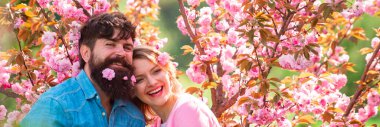 Aşık bahar çifti, Banner. Arka planda güzel kiraz çiçekleri olan bir çiftin bahar günü çiçek açan parkta buluşması..