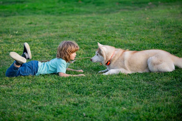 Criança feliz com cão. Retrato de crianças menino com animal de estimação brincando fora. Jogos divertidos com animal de estimação em férias de verão. Husky cão e criança olhando uns aos outros. — Fotografia de Stock