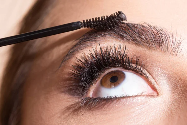 Combs eyebrows with a brush in a beauty salon. Woman with long eyelashes and thick eyebrows. Macro close up of brows. — Stockfoto