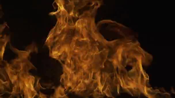 Du feu. Fond abstrait de feu et de flammes. Brûler une grande flamme. Éclat lumineux flamme. — Video