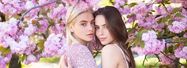 Banner de primavera com mulheres namoradas ao ar livre. Duas jovens sensuais sensuais mulheres relaxando em flores sakura. — Fotografia de Stock