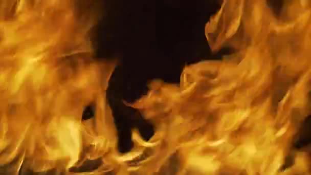 Пожежне полум'я на чорному тлі. Вогонь спалює полум'я ізольовану, абстрактну текстуру. Вибуховий вогонь ефект . — стокове відео