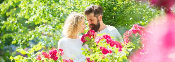 Casal de primavera apaixonado, banner. emoções humanas amor dos jovens e conceito de estilo de vida. A beijar o retrato de casal. Tocando corpo e prazer. — Fotografia de Stock