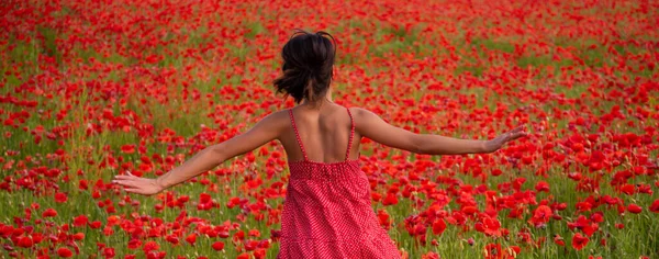 Carefree spring, poppy field. Woman in flower harvest. Remembrance and Anzac day. Spring design for banner or website header, copy space. Spring blossom background. — Stock Fotó