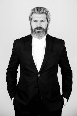 Sakallı adam modaya uygun. Lüks klasik takım elbiseler, moda. Klasik takım elbiseli, gömlek ve kravatlı adam. İş adamı kavramı.