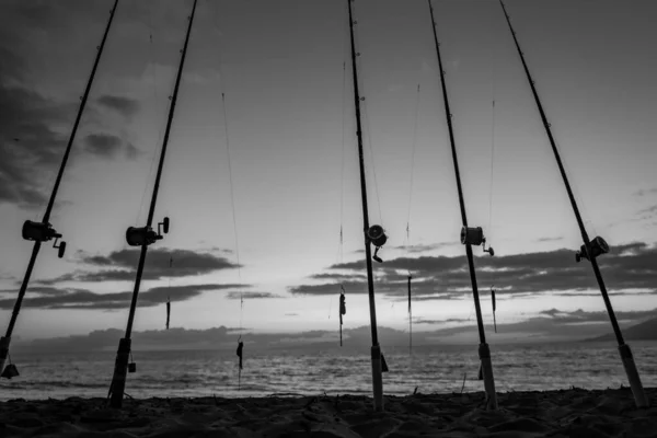 La canne à pêche tourne. cannes à pêche en raison de la journée de pêche au coucher du soleil sur la mer. Des anneaux de tige. Matériel de pêche. Enrouleur de pêche. — Photo