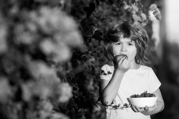 Close-up portret van een kind met een aardbei. Gelukkig kind eet aardbeien in de zomer buiten. — Stockfoto
