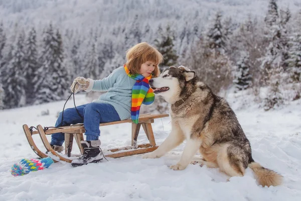 Αγόρι έλκηθρο στο βουνό του χειμώνα, απολαμβάνοντας μια βόλτα με έλκηθρο σε ένα όμορφο χιονισμένο χειμερινό πάρκο. Τα παιδιά αγκαλιάζουν τον σκύλο.. — Φωτογραφία Αρχείου
