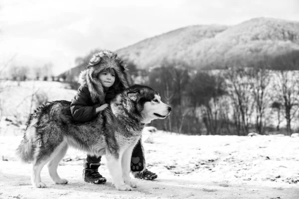 Kisfiú husky kutyával a hóerdőben. Alaszkai vagy kanadai hótáj. Téli gyerekek. Téma karácsonyi ünnepek tél új év. — Stock Fotó