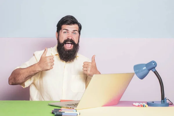 Забавное фото бизнесмена в рубашке, работающего за столом с ноутбуком. Бородач работает в офисе на цветном фоне. Смешные сотрудники — стоковое фото